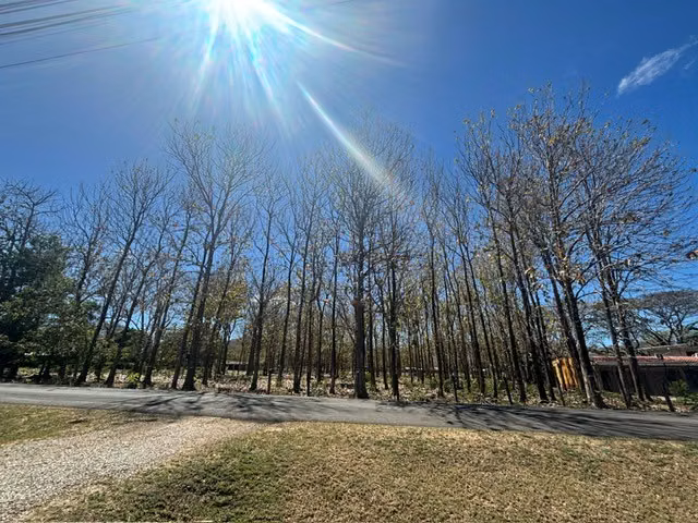VENTA – TERRENO EN ARADO, SANTA CRUZ, GUANACASTE, A MINUTOS DE HERMOSAS PLAYAS