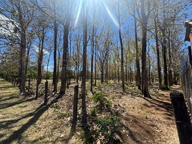 VENTA – TERRENO EN ARADO, SANTA CRUZ, GUANACASTE, A MINUTOS DE HERMOSAS PLAYAS