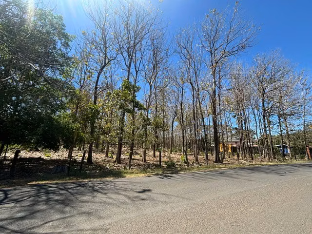 VENTA – TERRENO EN ARADO, SANTA CRUZ, GUANACASTE, A MINUTOS DE HERMOSAS PLAYAS