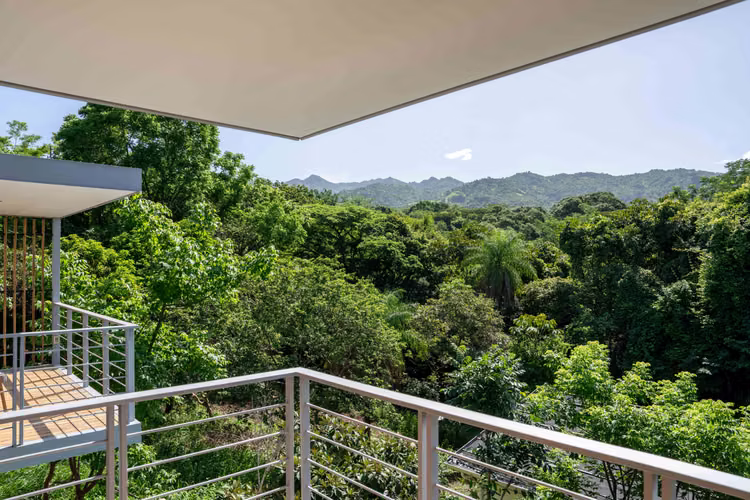 Casa + Casita – Lote 15 | Alegría Village - Imagen 16