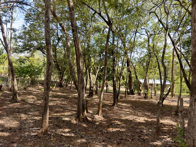 TERRENO GRANDE en venta, Carrillo Guanacaste, Sardinal