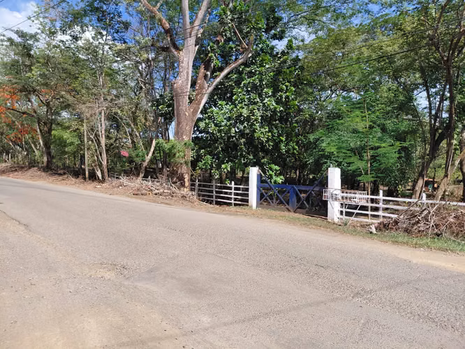 TERRENO GRANDE con casa en venta, Carrillo Guanacaste, Sardinal - Imagen 13