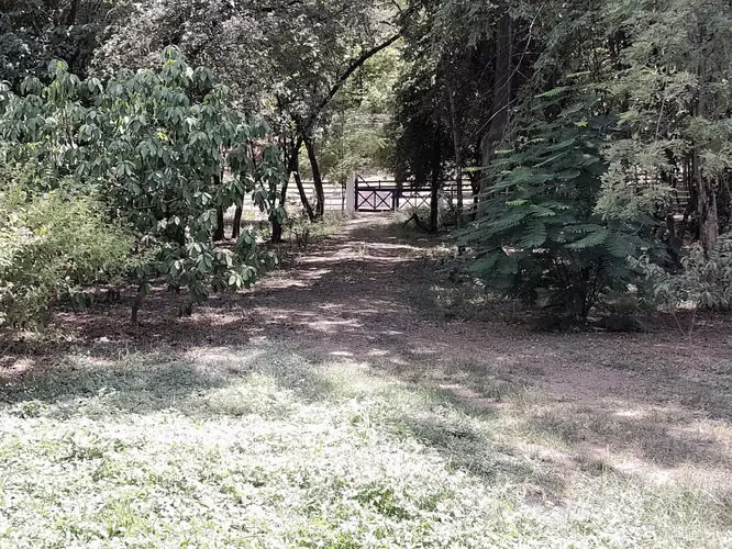 TERRENO GRANDE con casa en venta, Carrillo Guanacaste, Sardinal - Imagen 12