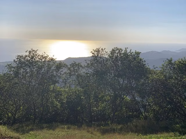 35ha en zona azul con vista al mar espectacular (1219) - Imagen 3