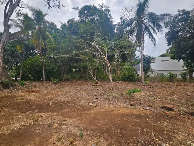Lote en Venta en el Centro de San Pablo Turrubares | 1.375 m² |  para Quinta, Comercio o Inversión - Imagen 9