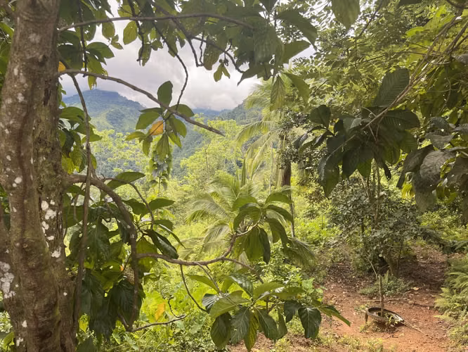 VENDO AMPLIO LOTE EN ACOSTE-PARRITA DE SAN  JOSÉ.