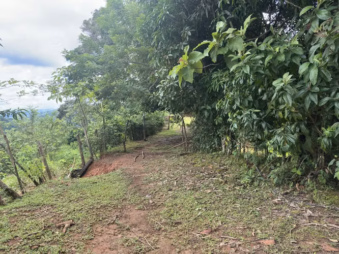 VENDO AMPLIO LOTE EN ACOSTE-PARRITA DE SAN  JOSÉ.