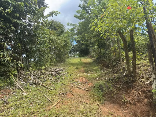 VENDO AMPLIO LOTE EN ACOSTE-PARRITA DE SAN  JOSÉ.