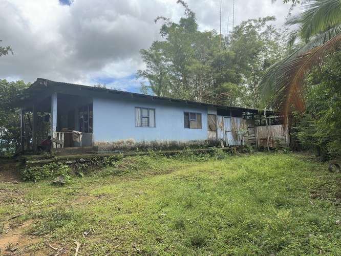 VENDO LOTE EN ACOSTA-SAN JOSÉ. OPORTUNIDAD ÚNICA                             - Imagen 3