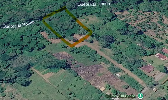 ¡Excelente oportunidad! Terreno en Guácimo, Limón – Naturaleza, tranquilidad y gran potencial - Imagen 4