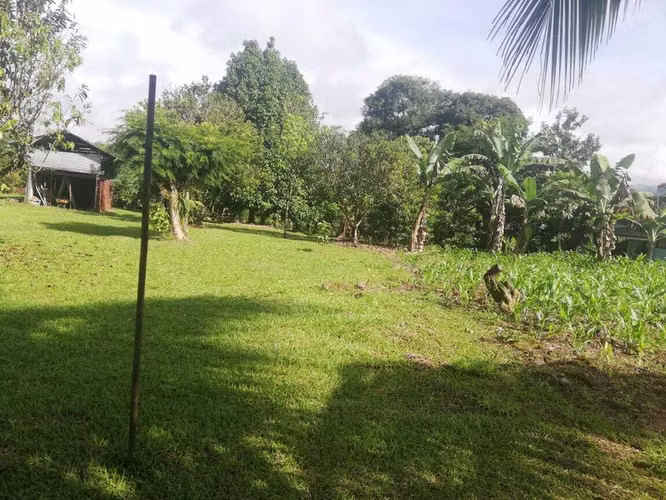 Venta de Lote en Pérez Zeledón-San Pedro. 25-259 - Imagen 4