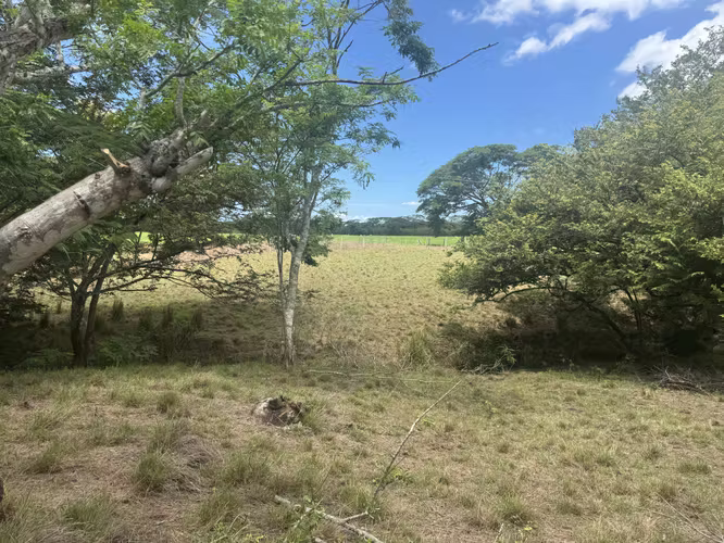 Finca en Venta con Río | Limonal, Guanacaste | 2.14 ha - Imagen 14