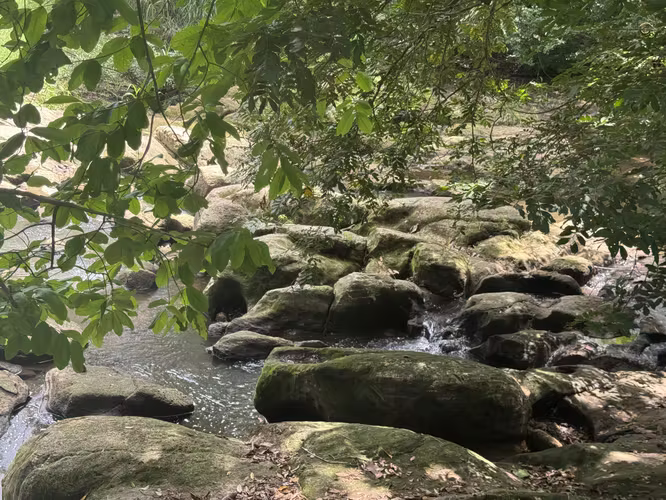 Finca en Venta con Río | Limonal, Guanacaste | 2.14 ha - Imagen 2