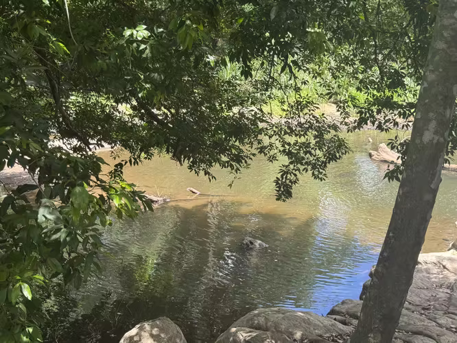 Finca en Venta con Río | Limonal, Guanacaste | 2.14 ha - Imagen 19