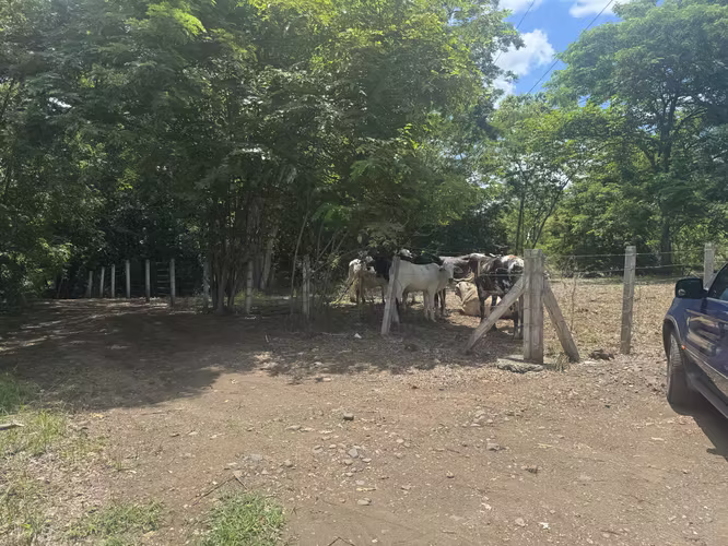 Finca en Venta con Río | Limonal, Guanacaste | 2.14 ha - Imagen 18