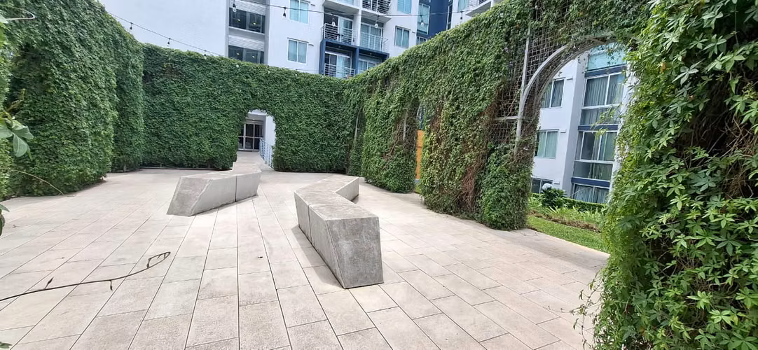 Apartamento en Alquiler en Condominio Bambú Rivera, Tibás - Imagen 14