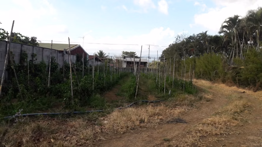 DESARROLLADORES!! VENTA DE TERRENO  INDUSTRIAL Y/O COMERCIAL EN LA GUACIMA