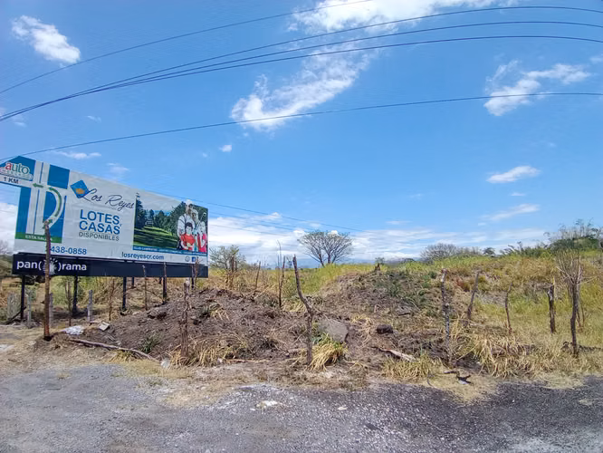 DESARROLLADORES!! VENTA DE TERRENO  INDUSTRIAL Y/O COMERCIAL EN LA GUACIMA