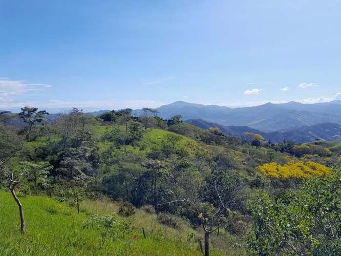 Lote edificable de 1500 m² con vista al mar (1226) - Imagen 4