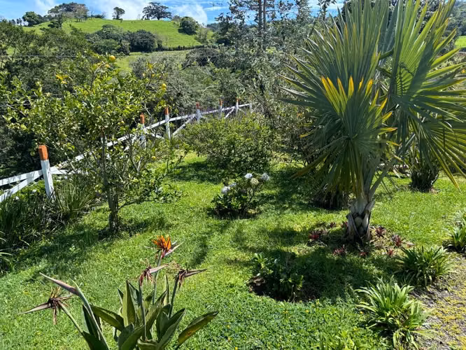 Residencia y Apartamento en venta Heredia - Imagen 6