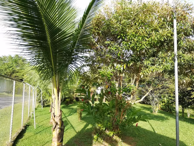 CASA CON AMPLIO TERRENO EN JIMENEZ, POCOCI, LIMON