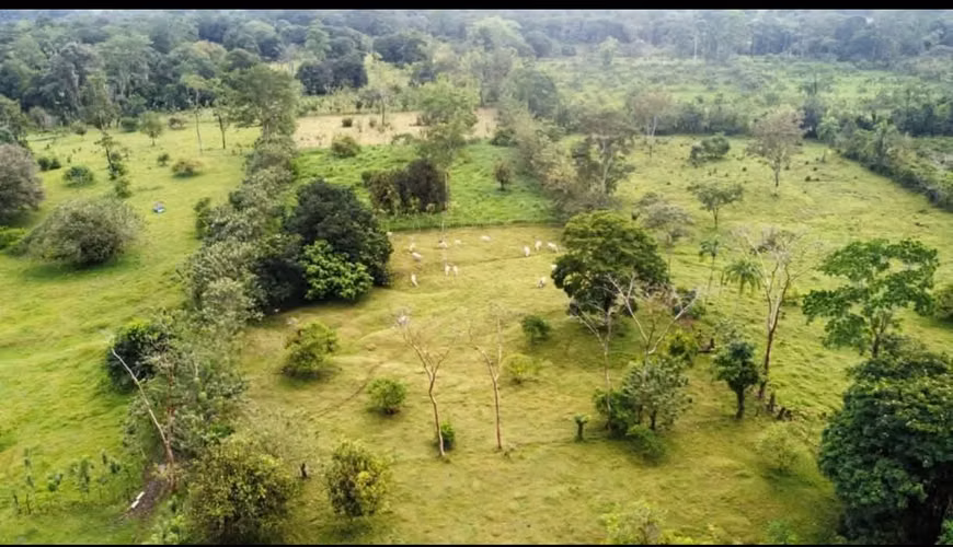 FINCA EN VENTA EN SARAPIQUÍ