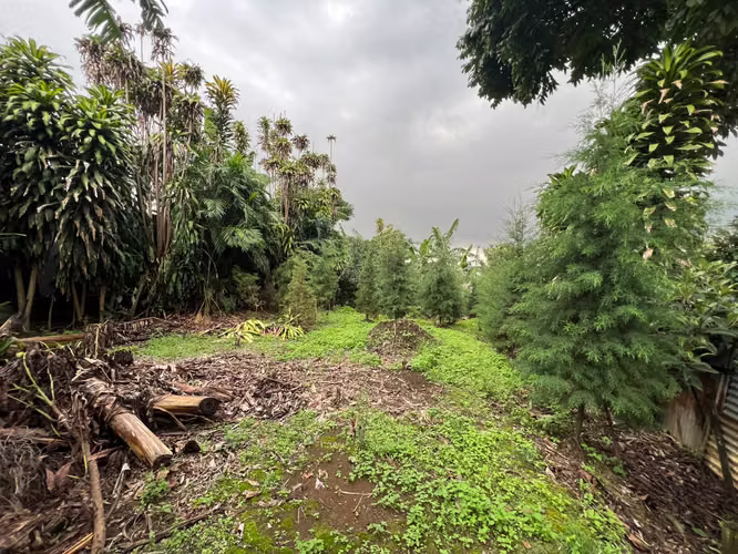 42959 - Lote en venta en Concepción de La Unión, Tres Ríos | 457 m² | Uso de suelo mixto - Imagen 3
