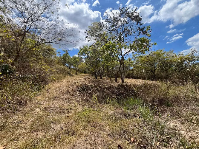 Terreno en Venta Orotina - Imagen 2