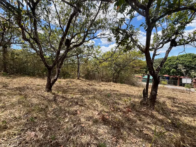 Terreno en Venta Orotina