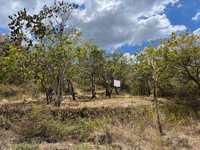 Terreno en Venta Orotina - Imagen 8