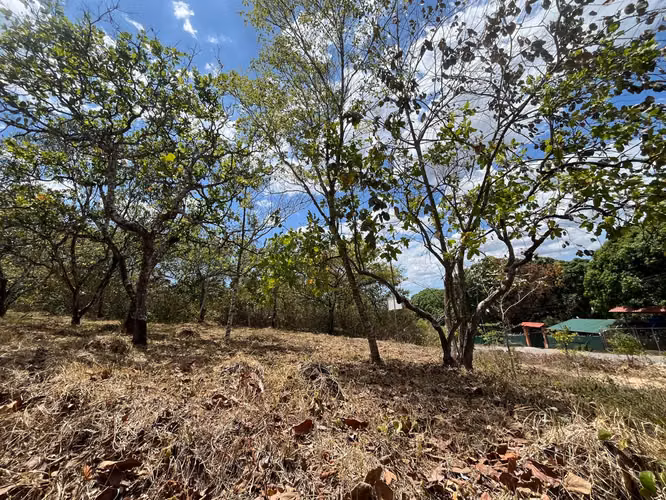 Terreno en Venta Orotina - Imagen 5