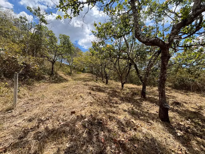 Terreno en Venta Orotina - Imagen 6