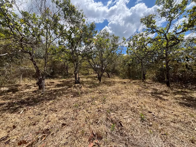Terreno en Venta Orotina - Imagen 7