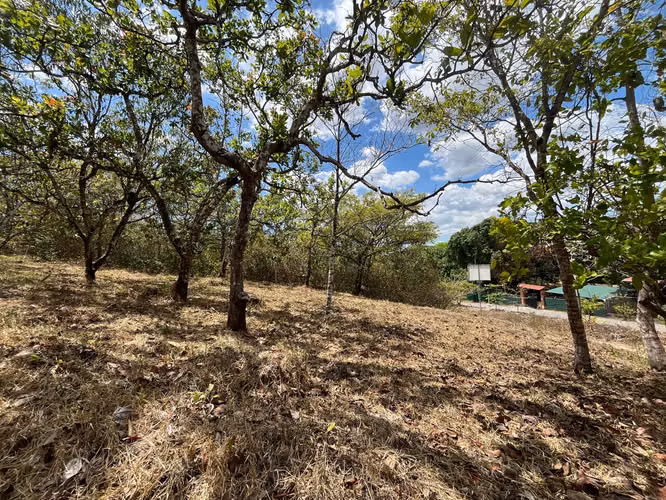 Terreno en Venta Orotina - Imagen 3