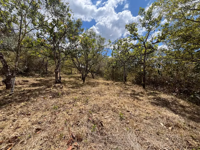 Terreno en Venta Orotina - Imagen 9