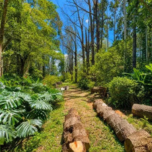 Heredia | Finca privada en venta rodeada de naturaleza  10,830 m² - Imagen 6