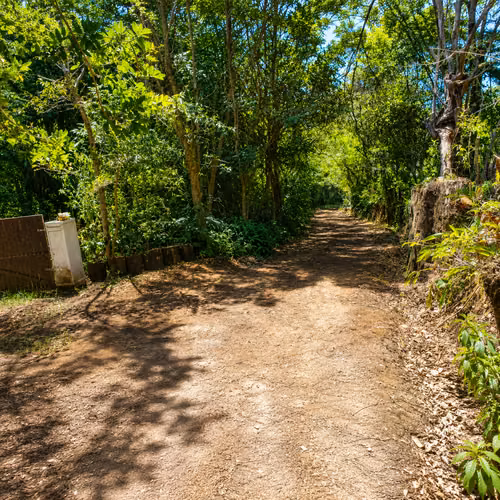 Heredia | Finca privada en venta rodeada de naturaleza  10,830 m² - Imagen 3