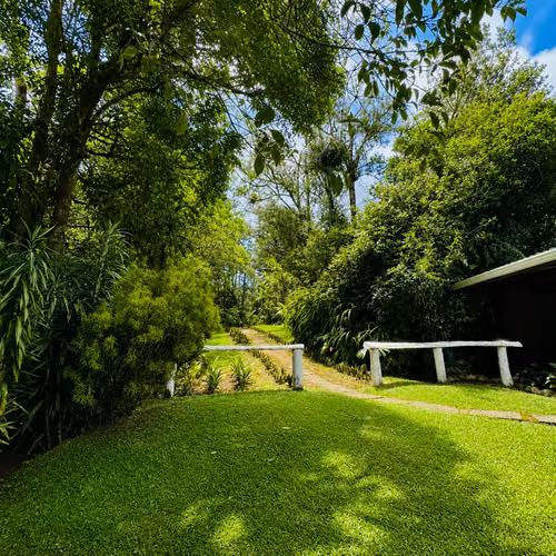 Cartago | Majestuosa finca de montaña en venta | 53383  m² senderos y vistas a la montaña - Imagen 15