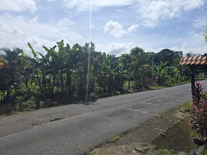 Terreno de 5,459 m² con uso mixto, segregación lista y gran plusvalía en Guayabo, Turrialba - Imagen 6