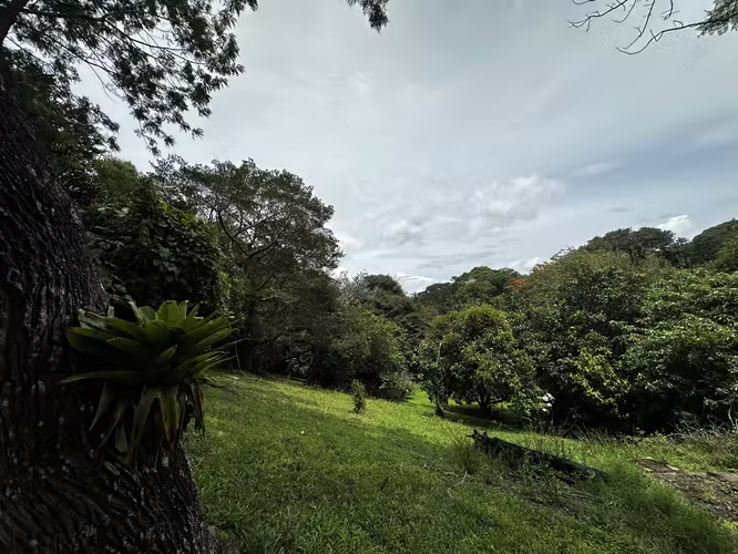 Exclusiva Propiedad en Venta | 20.367 m² Monte de La Cruz en San Rafael de Heredia-2 - Imagen 16