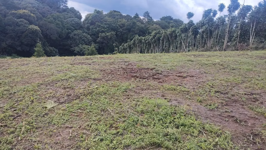 LOTE EN VENTA – POÁS ALAJUELA - Imagen 10
