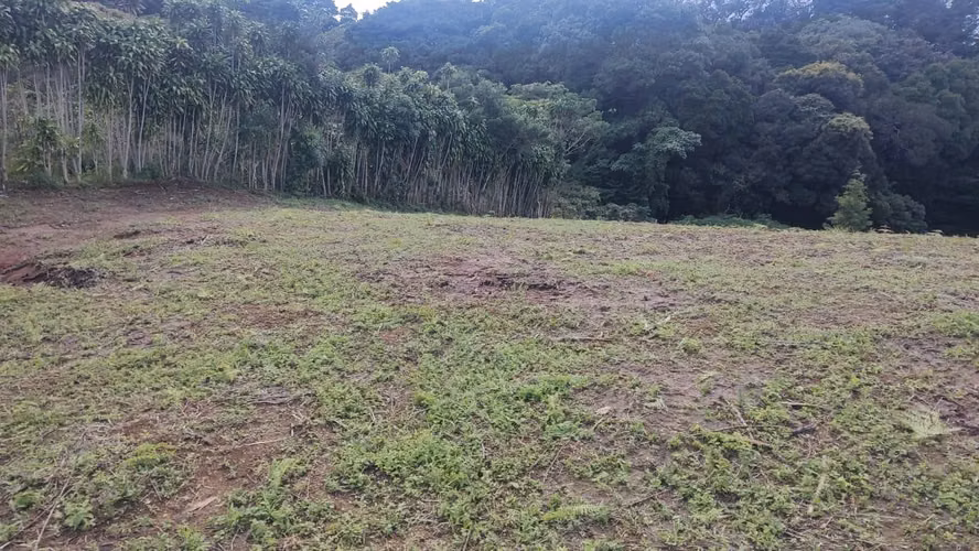 LOTE EN VENTA – POÁS ALAJUELA - Imagen 9