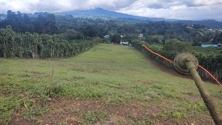 LOTE EN VENTA – POÁS ALAJUELA - Imagen 14