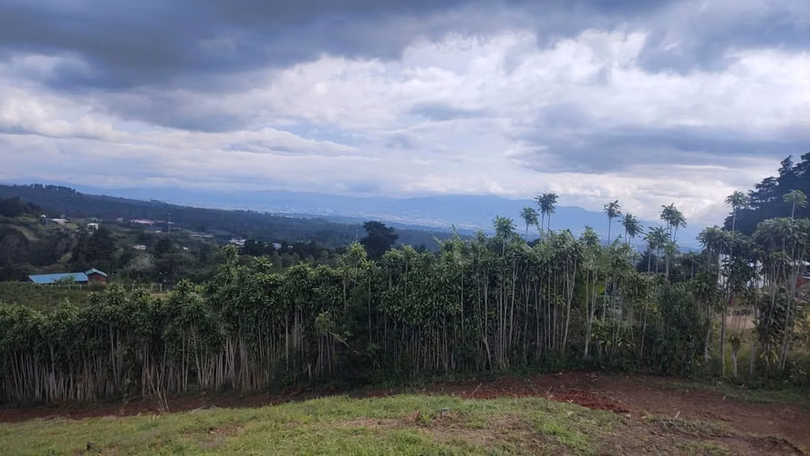 LOTE EN VENTA – POÁS ALAJUELA - Imagen 13