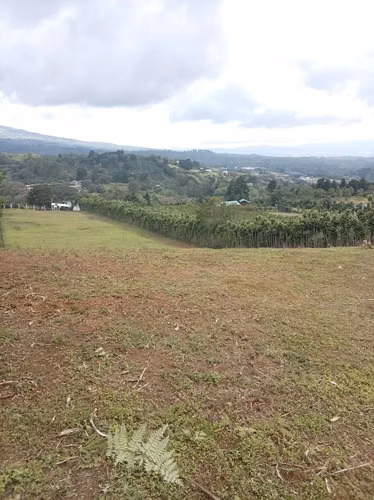 LOTE EN VENTA – POÁS ALAJUELA - Imagen 5