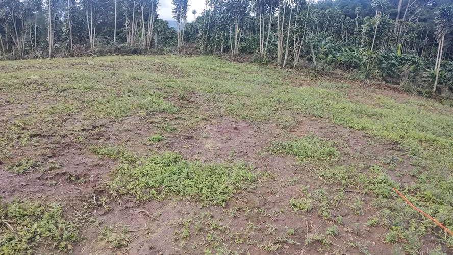 LOTE EN VENTA – POÁS ALAJUELA - Imagen 11