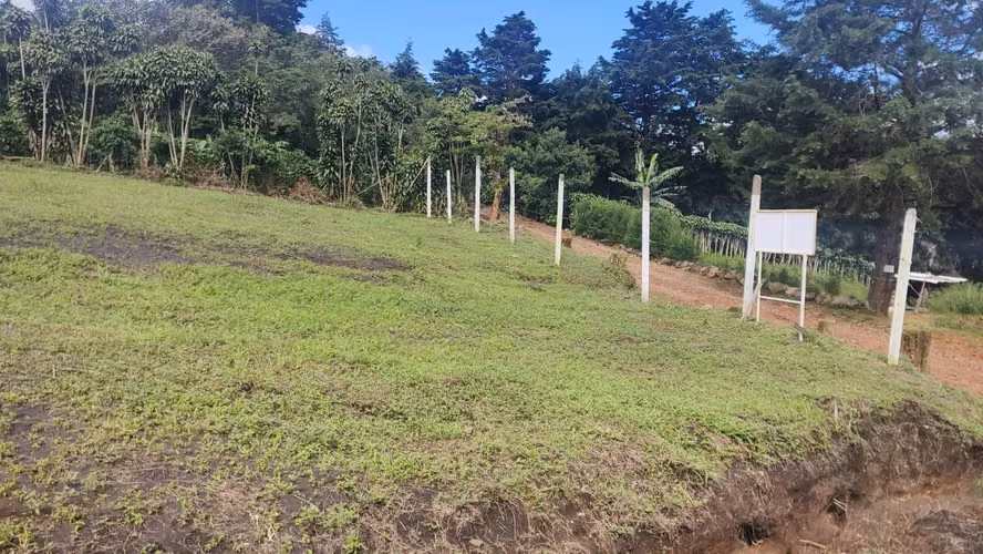 LOTE EN VENTA – POÁS ALAJUELA - Imagen 6