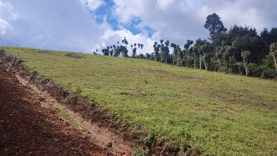 LOTE EN VENTA – POÁS ALAJUELA - Imagen 7