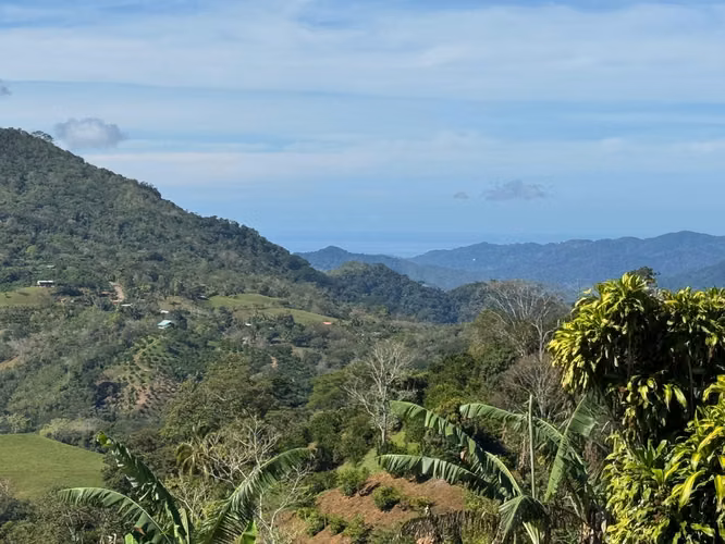 3ha finca en la Peninsula de Nicoya con cultivo de naranjas y café
