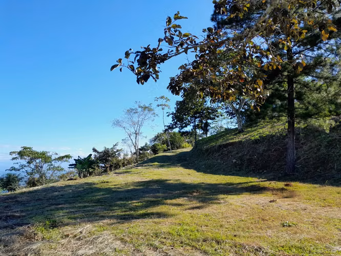 Lote de 4.310m2 para construir con vistas panorámicas al mar (1224) - Imagen 6